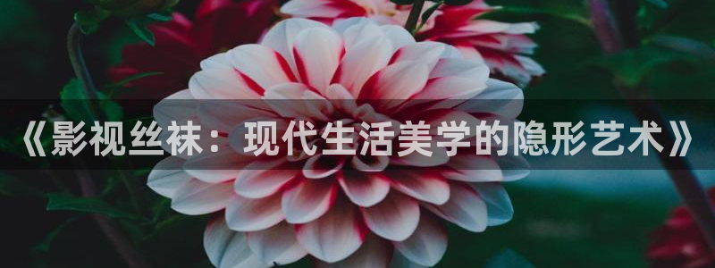 新视觉夜魔影院