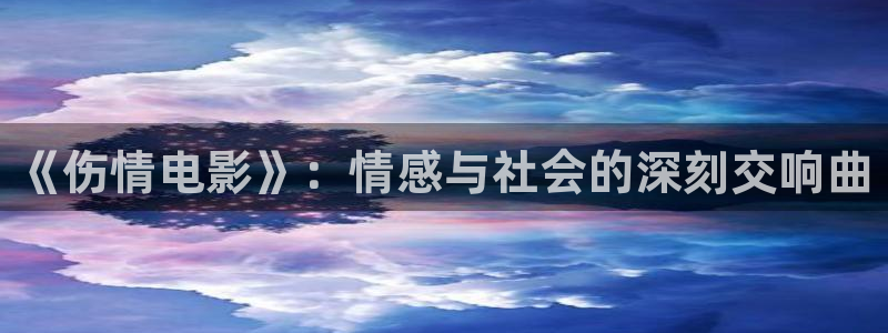 新视觉网页版