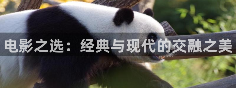 新视觉影视传媒公司