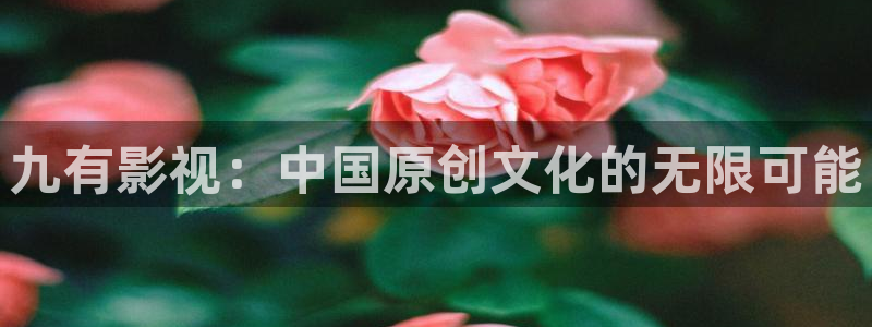 新视觉秋霞电影