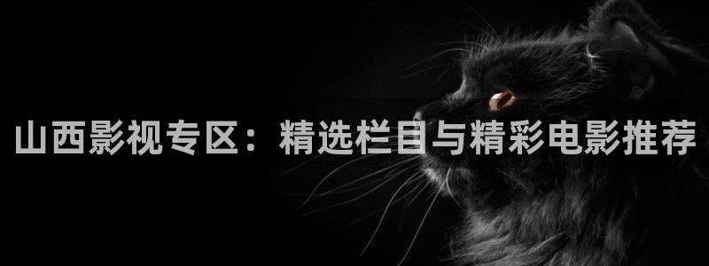 6080新视觉影视理论电视剧在线观看
