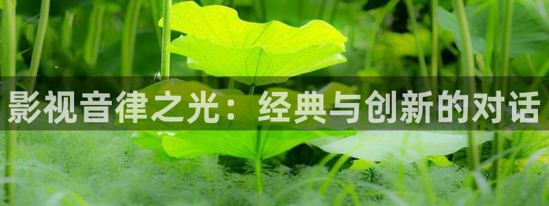 yy6080新视觉电影电视剧在线观看