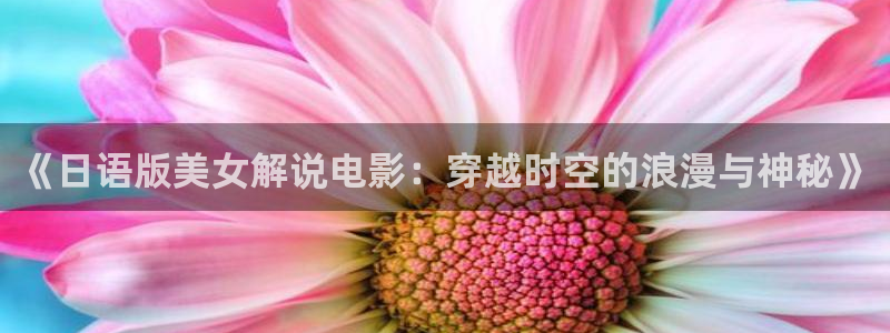 www6080新视觉