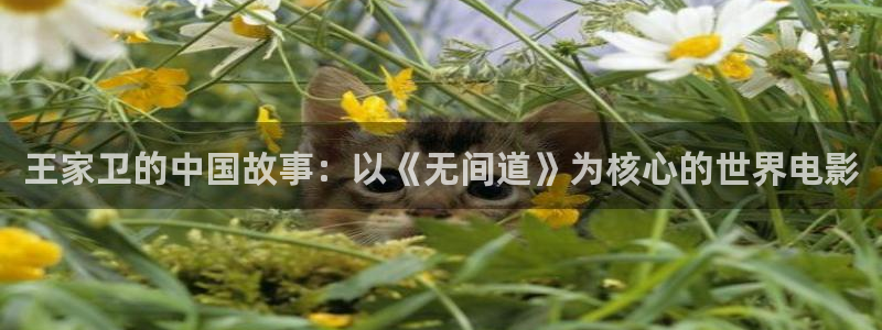 yy6080新视觉影院理论片