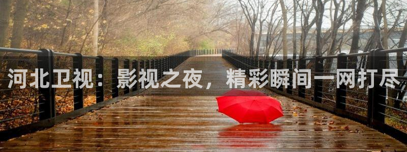 8060新视觉影院免费