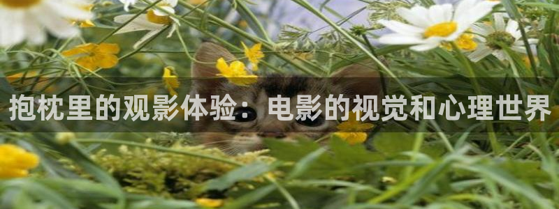8090新视觉影院大全