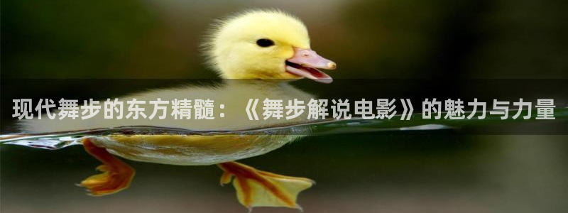 6080新视觉下载