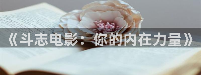 新视觉影院电视剧免费大全