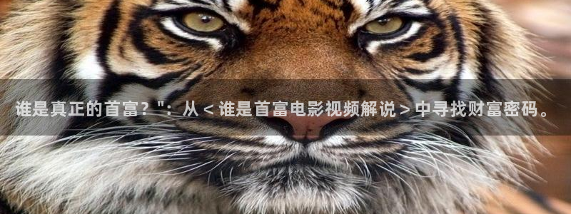 8090新视觉在线影院