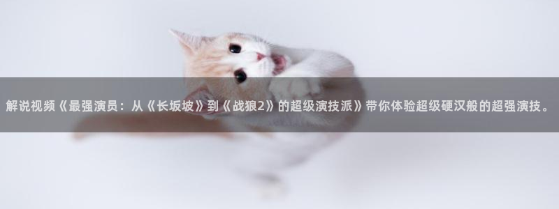 6080新视觉手机官网