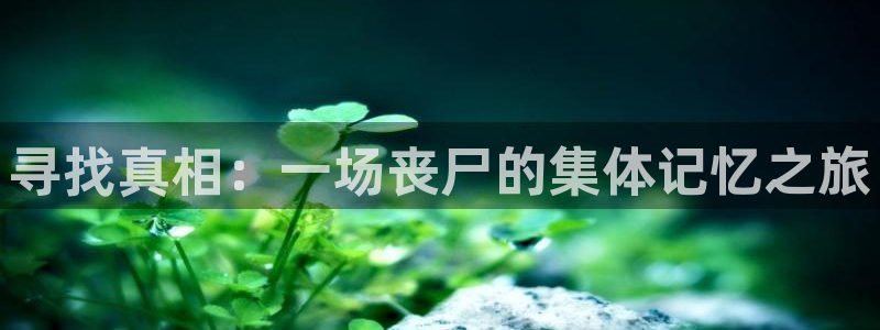 4080新视觉影院