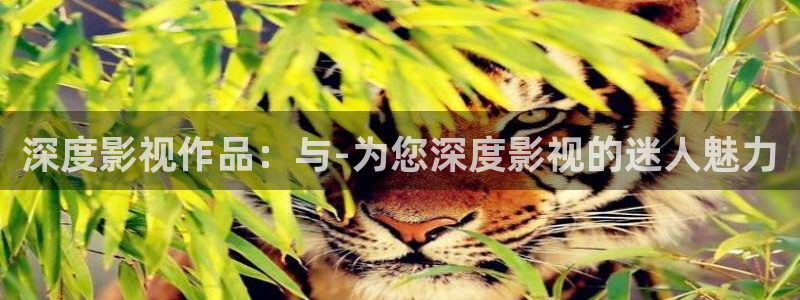 新视觉yy6080高清电视剧在线播放