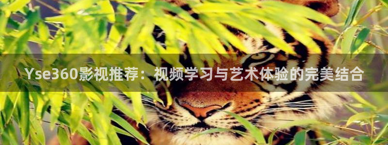 y y6080新视觉电影