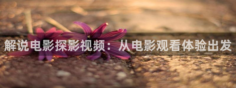 8090新视觉手机电影