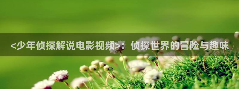 6090新视觉影视理论电视剧在线观看yy44
