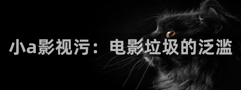 新视觉4480私人影院