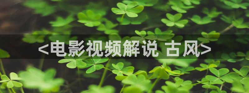 新视觉频道 节目表