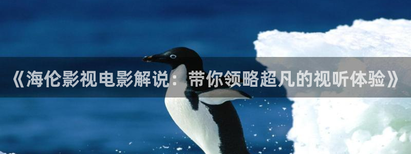 8090新视觉电视影院