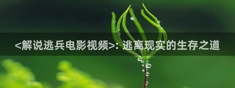 新闻图片