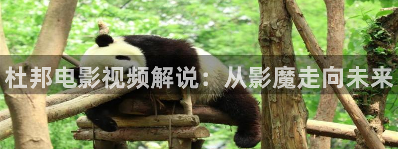 新视觉影院现实片