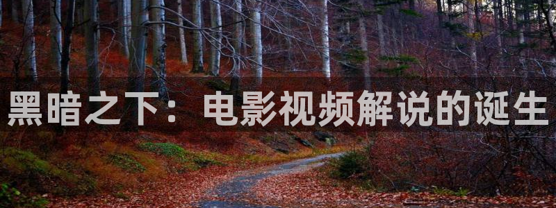 新视觉眼镜