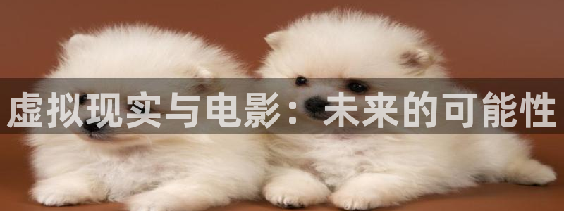 yy6080新视觉影视电视剧在线观看