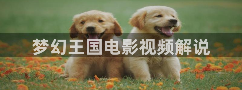 6080新视觉影院在线免费观看