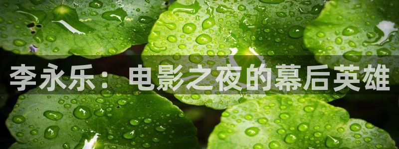 6080新视觉理论电影