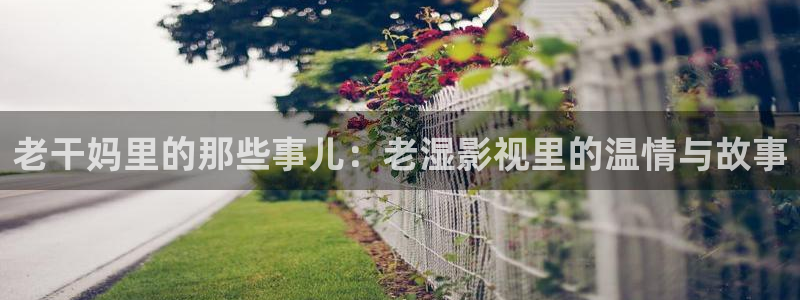 新视觉数码科技有限公司怎么样