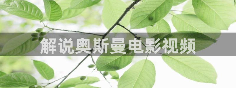 www.新视觉影院.com
