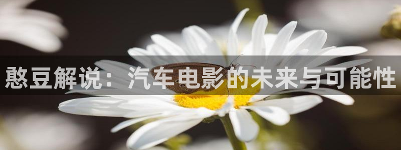 新视觉影院yy6088