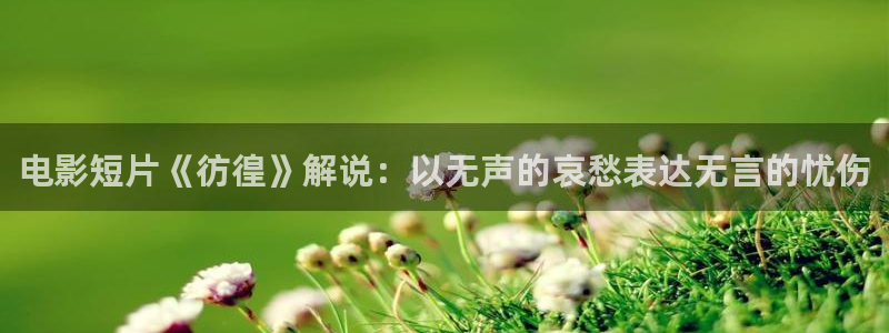 6080新视觉影院投影速度