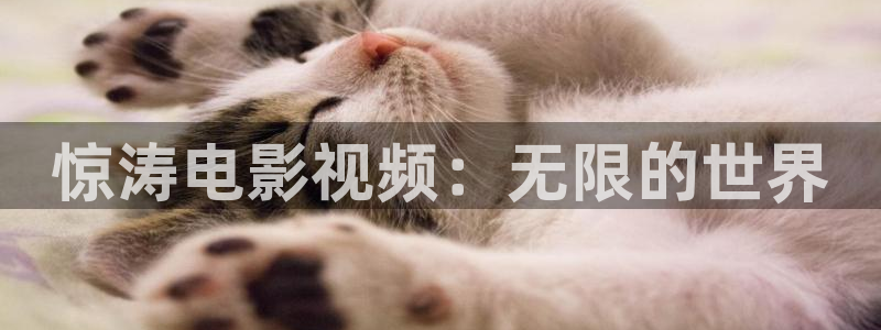 新视觉的影院