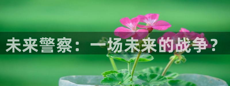 苏州新视觉