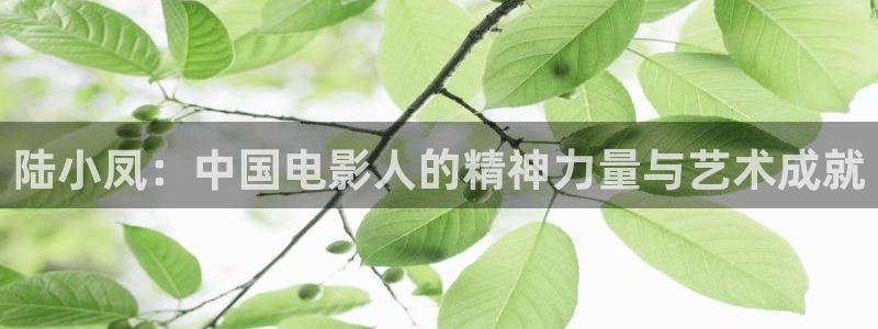 6080新视觉电视剧推荐