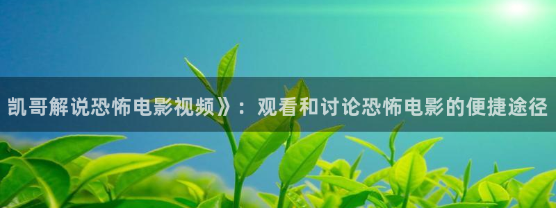 6080新视觉逗别看