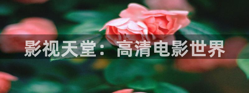 哪里可以看新视觉体育直播
