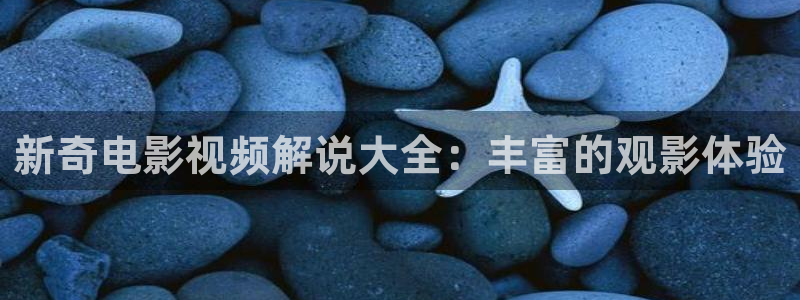 6080新视觉影院午夜剧场