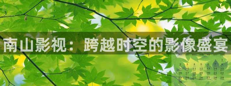 新视觉影视三级