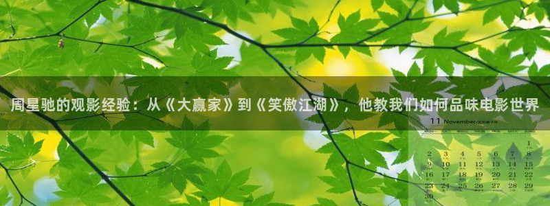 新视觉6080高清电视剧在线播放