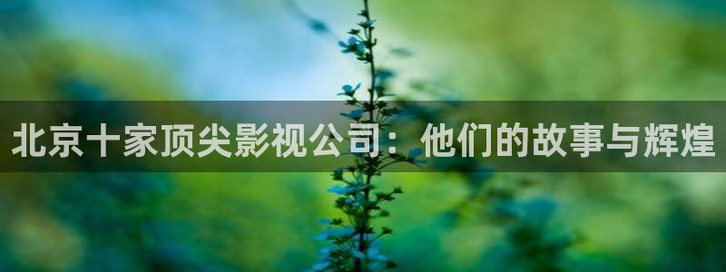 yy4080新视觉电视剧在线观看免费版