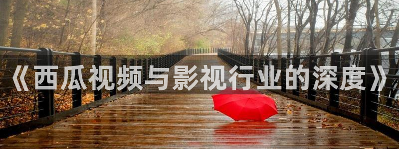 6080新视觉电影网播放
